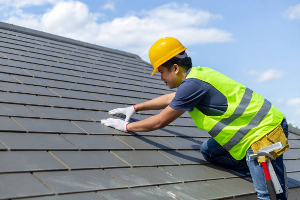 Best Shingle Roofing Installation  in Exander City, AL