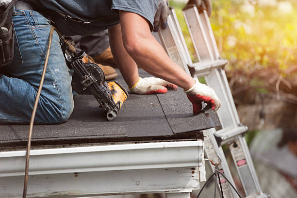 Best Roof Gutter Cleaning  in Exander City, AL