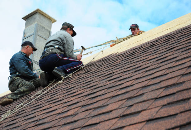 Best Storm Damage Roof Repair  in Exander City, AL
