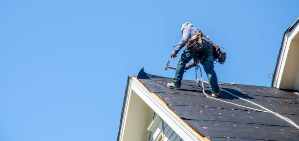 Best Metal Roofing Contractor  in Exander City, AL